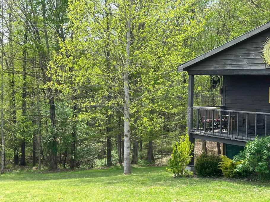 Rise And Shine! A Gorge-ous Cabin!
